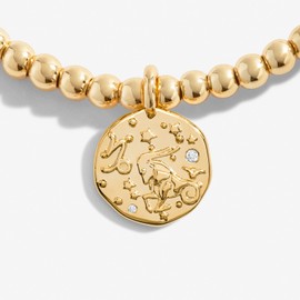 Joma Jewellery STAR SIGN A LITTLE CAPRICORN Gold Plated Bracelet in 17.5 cm stretch