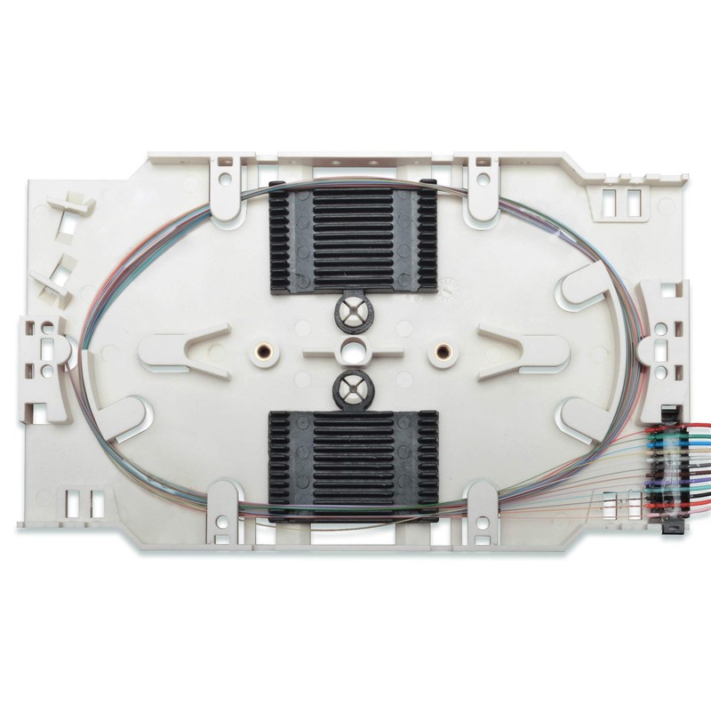 Assmann Splice Cassette 12 Pigtails LC (APC)