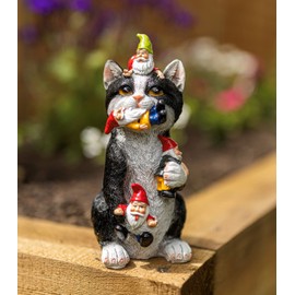 Garden Mile Resin Gnome Eating Cat Ornament Colourful Outdoor Indoor Decoration for Home Patio Decking Pond Flower Bed Standing Novelty Weatherproof Kitten Cat Statue Garden Gnome Figure