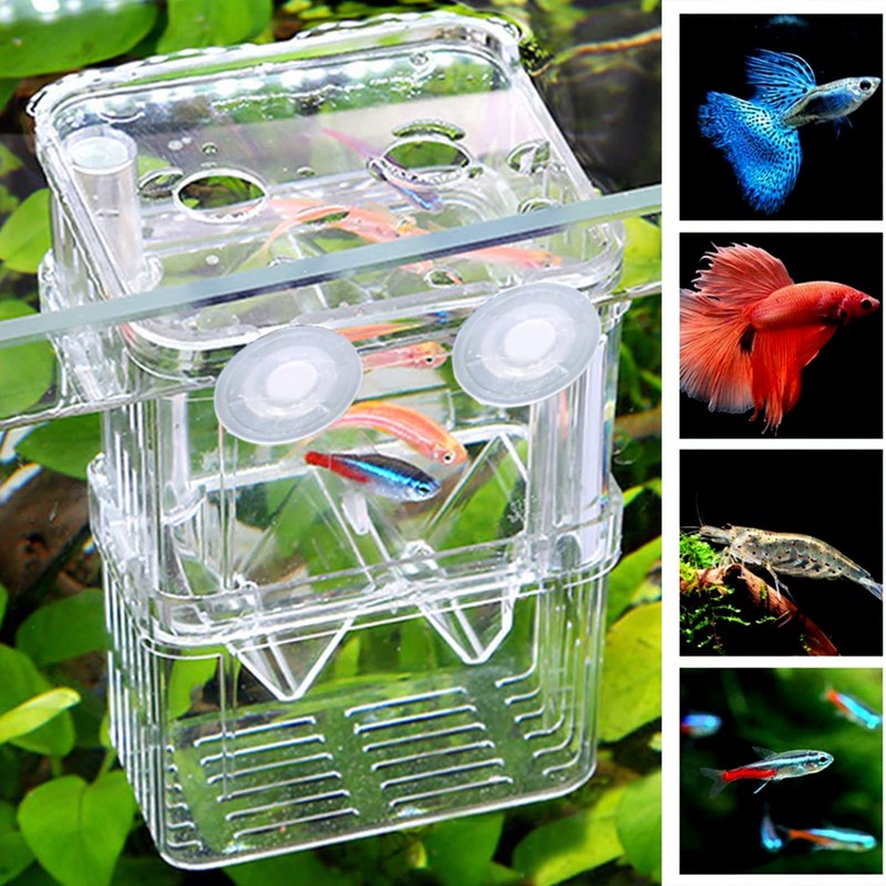 Shrimp Fish Breeding Box,Guador 2 Pcs Multi Functional Double Layer