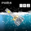 D2S, D2R, D4S, D4S, D4R, Built-in Canceller, Genuine HID LED,