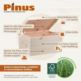 Pinus - Wooden box with lid, 30 x 20 x 13.5 cm, wooden box with hinged closure, wooden treasure chest, box without handles, storage box, European pine wood and plywood