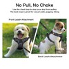 Petmolico No Pull Dog Harness and Leash Set, No Choke