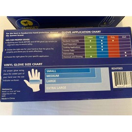 Sunset Powder Free Vinyl Gloves (Large)