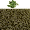 인진쑥환(국내산 500g) Mugwort Powder (Domestic 500g)
