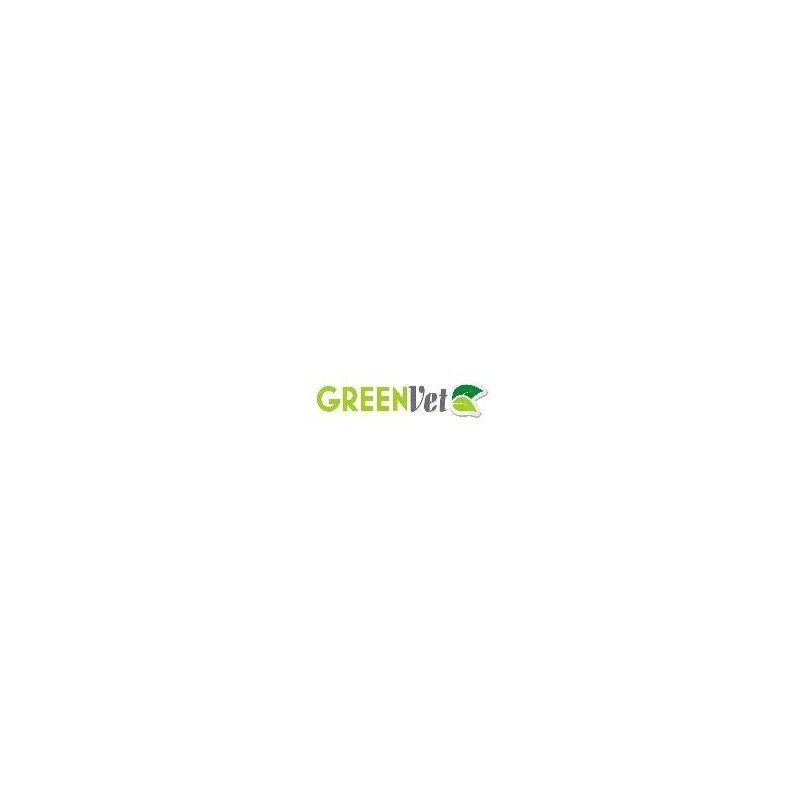 Greenvet Arnica