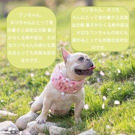 Dog Cool Neck Cool Van, Heat Stroke Prevention, Includes Ice Pack Cooler, Cool Snood, Neck Cooler, Summer Pet Supplies, For Dogs, Cats, Small Dogs, Medium Dogs, Large Dogs, Walks, Cooling, Cooling