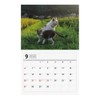 2026 Tatsumi Publishing Calendar/Nara Mitsuaki Iwatami