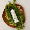 Archipelago Morning Mint Body Lotion ,18 Fl Oz