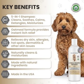 We Love Doodles- Champú de Avena Premium 5 en 1 para Perros, Suave para Pieles sensibles y con picazón, Alivia la picazón                             