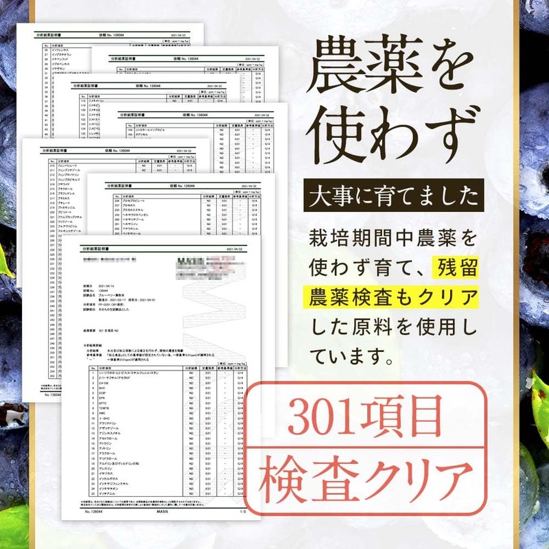 【残留農薬検査済】ブルーベリー葉 粉末 10g パウダー ポリフェノール アイケア 宮崎県産 くにさと35号 添加物不使用