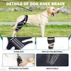 Dog Knee Brace for ACL Support, Adjustable Leg Brace for
