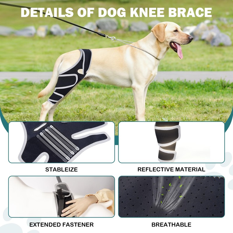 Dog Knee Brace for ACL Support, Adjustable Leg Brace for