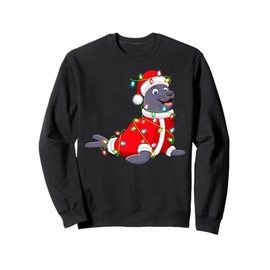 Seals Christmas Lights Santa Costume Cute Animal Xmas Sweatshirt