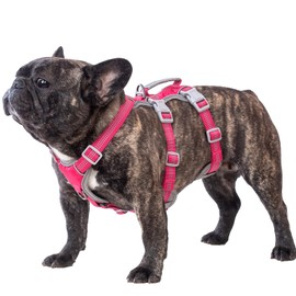 Huntboo No Escape Dog Harness, Escape Proof Harness, Reflective Harness with Padded Handle, Breathable, Durable, Adjustable Vest for Small Dogs Walking, Training, and Running Gear（Rose red, S