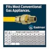 EASTMAN 48-in 1/2-in Mip Inlet x 3/8-in Mip Outlet Stainless