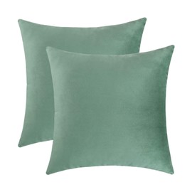 Jeneoo Set of 2 Comfy Soft Velvet Throw Pillow Covers for Sofa Couch, Decorative Solid Square Pillowcase Cushion Cases for Bedroom Car (18 x 18 Inches, Sage Green)