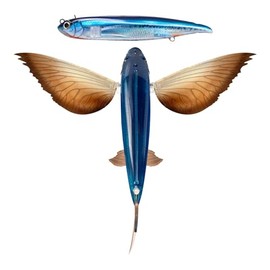 Nomad Design Slipstream 280 Flying Fish California 11" Floating Lure - Oceanic