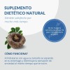 Fibra Natural Konjac Fujiro Japan Suplemento Nutricional Vegano Saciante Cápsulas