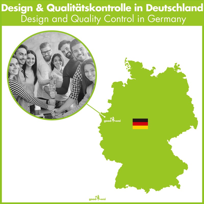 Goodwei Japanese Matcha Complete Set with High Quality Tea Bowl