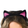 Fun World Catarina Costume, Large 12-14, Black