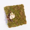 Begeterday 6 Inch Hermit Crab Climbing Wall, Ideal Adjustable Hermit