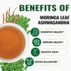 PENHOMENT Moringa Leaf Tea Bags with Ashwagandha - 40 Tea