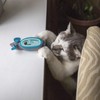 SPOT Doc and Phoebe's Cat Hunting Snacker - Interactive Indoor
