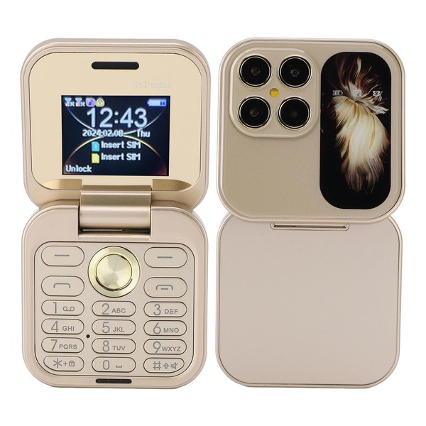 Smallest Flip Phone - Dual Nano SIM FM Radio 2G