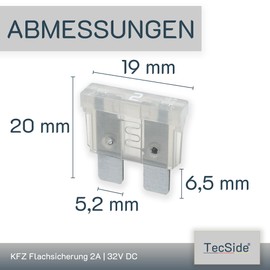 2A Car Fuses | 12V 24V 32V | Pack of 10 | Plug Fuses for Power Theft & Fuse Holder | 19 mm Blade Fuses for Car, Boat, Motorcycle, RV & Scooter | Replacement Fuses