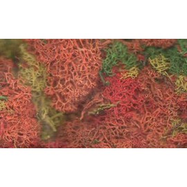 Mixed Colours Model Scenic Lichen