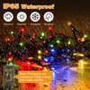 btfarm Color Changing Christmas Lights Outdoor Remote,Warm White-Multicolor