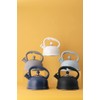 Typhoon Otto Collection | Stovetop Kettle - Blue