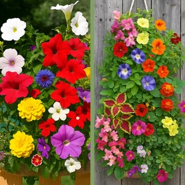 HANG & GROW Burlap Hanging Bags – 1" Holes with 1 Hummingbird & 1 Butterfly Seed Packet – Perfect for Growing Strawberries and Attracting Pollinators