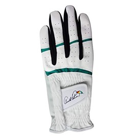 ARNOLD PALMER APG Golf Gloves APG-116 Men's White X Green S