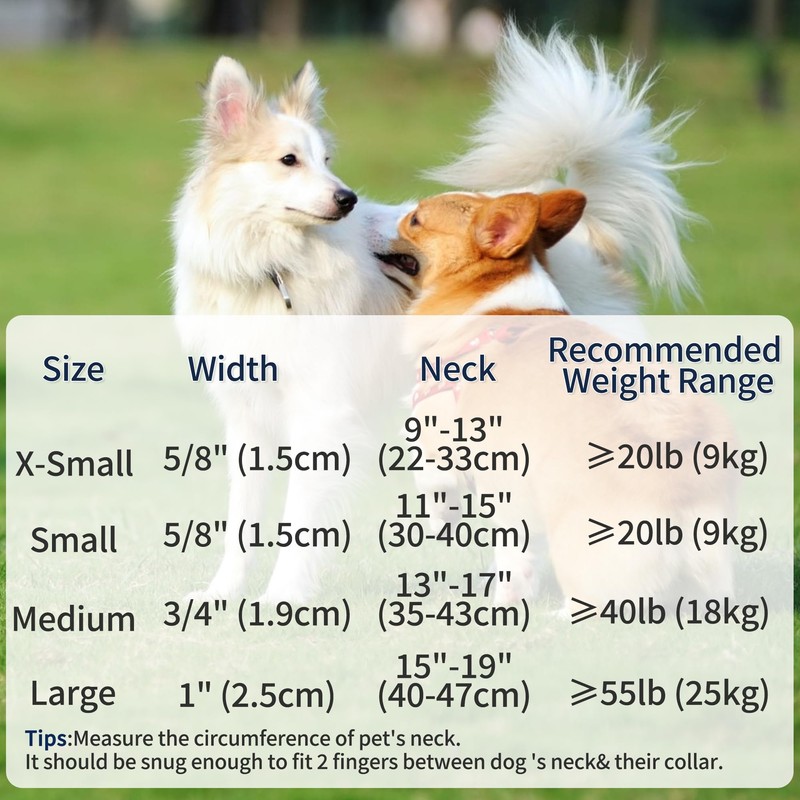 Mile High Life Dog Collar | Nylon Reflective Dog Collars