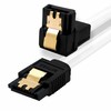 BIGtec SATA Cable 1m transparent gerade/unten