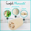 Loofah Moments Loofah Sponge, Plastic-Free & Unbleached, Natural Sponge Made