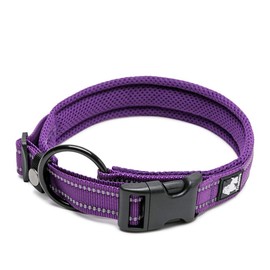 WINHYEPET True Love Dog Collar Reflective Sandwich lining Nylon Webbing Comfortable and Safe Adjustable Buckle convenient used for walking for Samll/Medium/Large neck ring TLC5011(Purple,XL)
