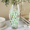 ZEBMOON 100PCS Faux Pearls Beads for Centerpiece Vases, Green Vase
