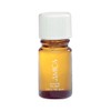 Amica White Musk Oil One Color .17 oz