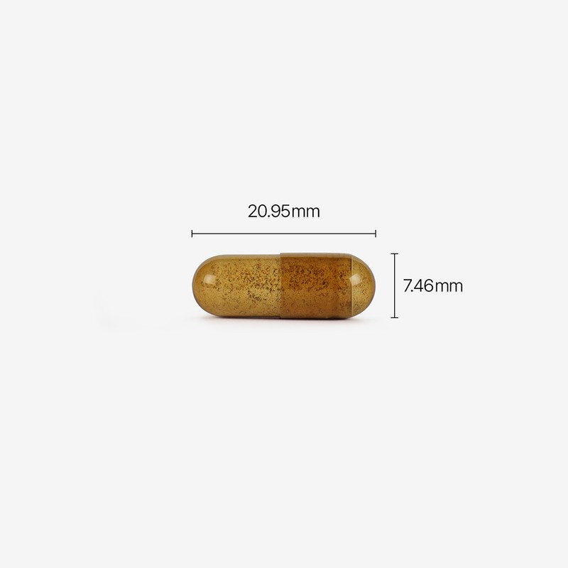 Phytotics [4+2 Event] Phytotics Comfortable Green Cera / Gastro Green