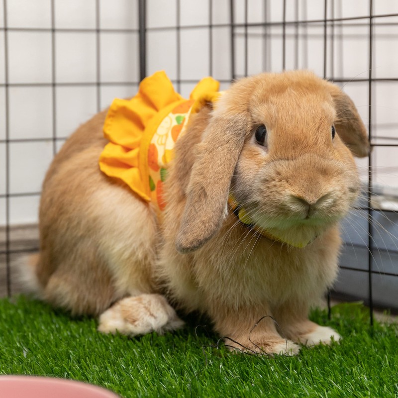 ALUZAEMO Bunny Harness and Leash Set, Escape Proof Carrot Mesh