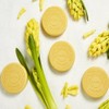 Duck Pan Gold Home (4 boxes of 55g) + 1