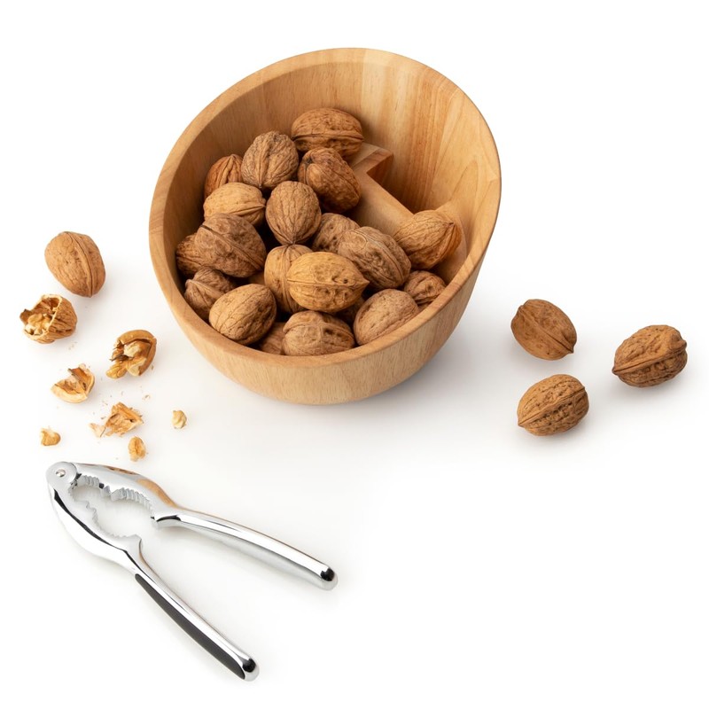 Continenta Rubber Tree Nutcracker Nut Shell