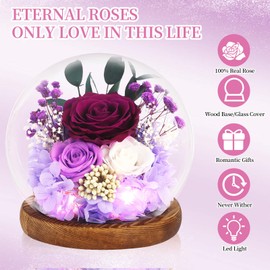 Preserved Roses Real Flowers in Glass Gifts for Women,Mom,Girlfriend,Grandma,Long-Lasting Eternal Roses with Led Lights,Flowers for Delivery Prime Valentines,Birthday,Mothers Day,Christmas(Purple)