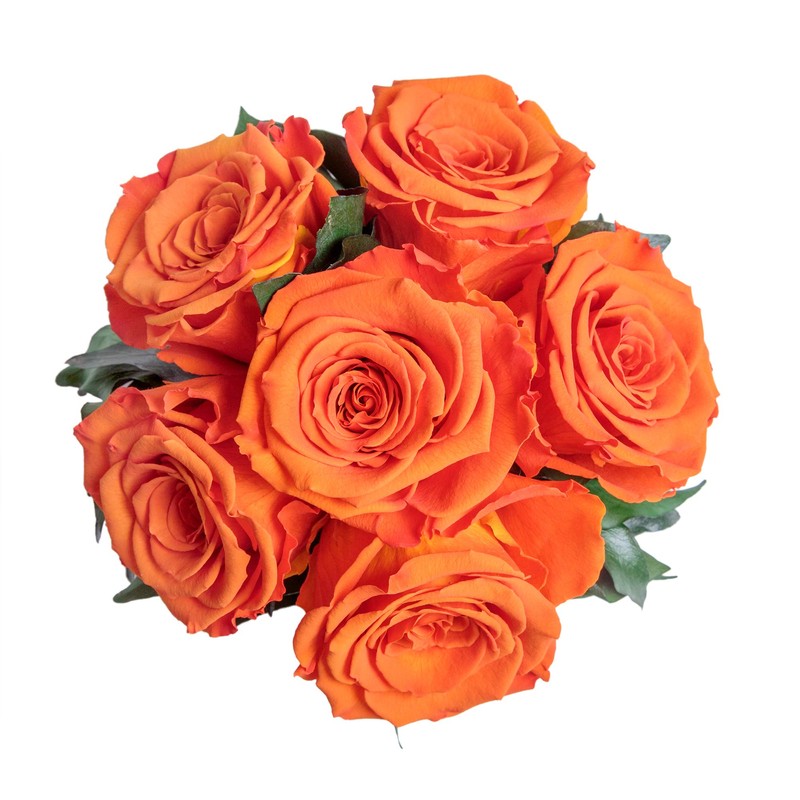 ROSEMARIE SCHULZ Heidelberg Infinity Roses in Silver Flower Bowl -