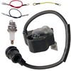 MS250 Ignition Coil for STIHL 010 011 012 020 023