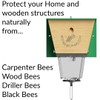 Ultimate Pro, Carpenter Bee Trap, 2 Traps in 1, High-Capacity