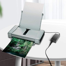 TAIFU 16V AC Adapter for Canon Pixma Wireless Mobile Printer fits iP100 iP110 iP90 iP-90V i70 i80 i90 mini320 Mini260 DR-2010C MG1-3607-000 K10222 K30287 K30227 K30244 K30203 K10249 AD-370U AD-380U